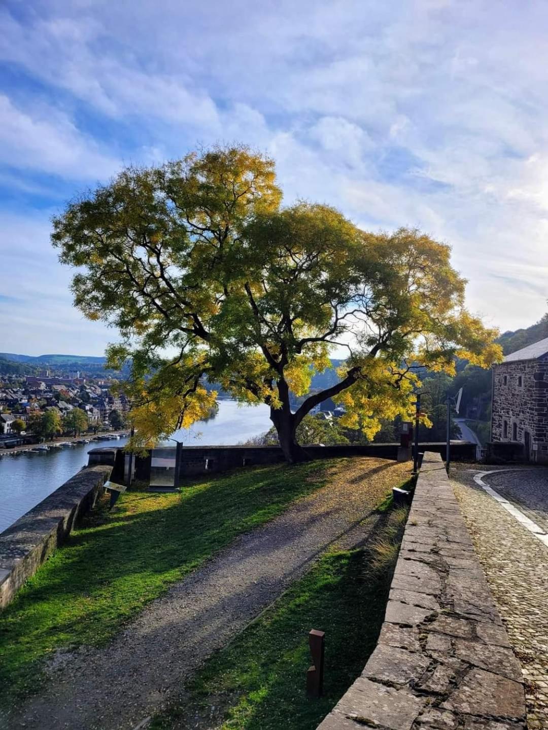 Sherlock'S Home - Guest House Namur Exteriér fotografie